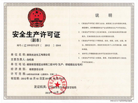 安全生產(chǎn)許可證 安全生產(chǎn)許可證